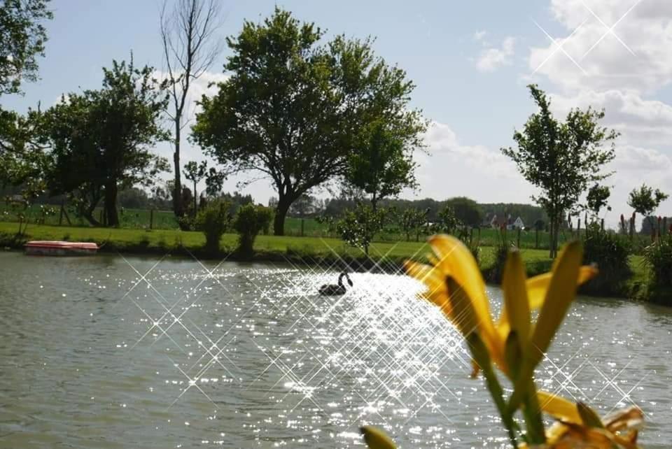 Gite canard Fromelles Extérieur photo
