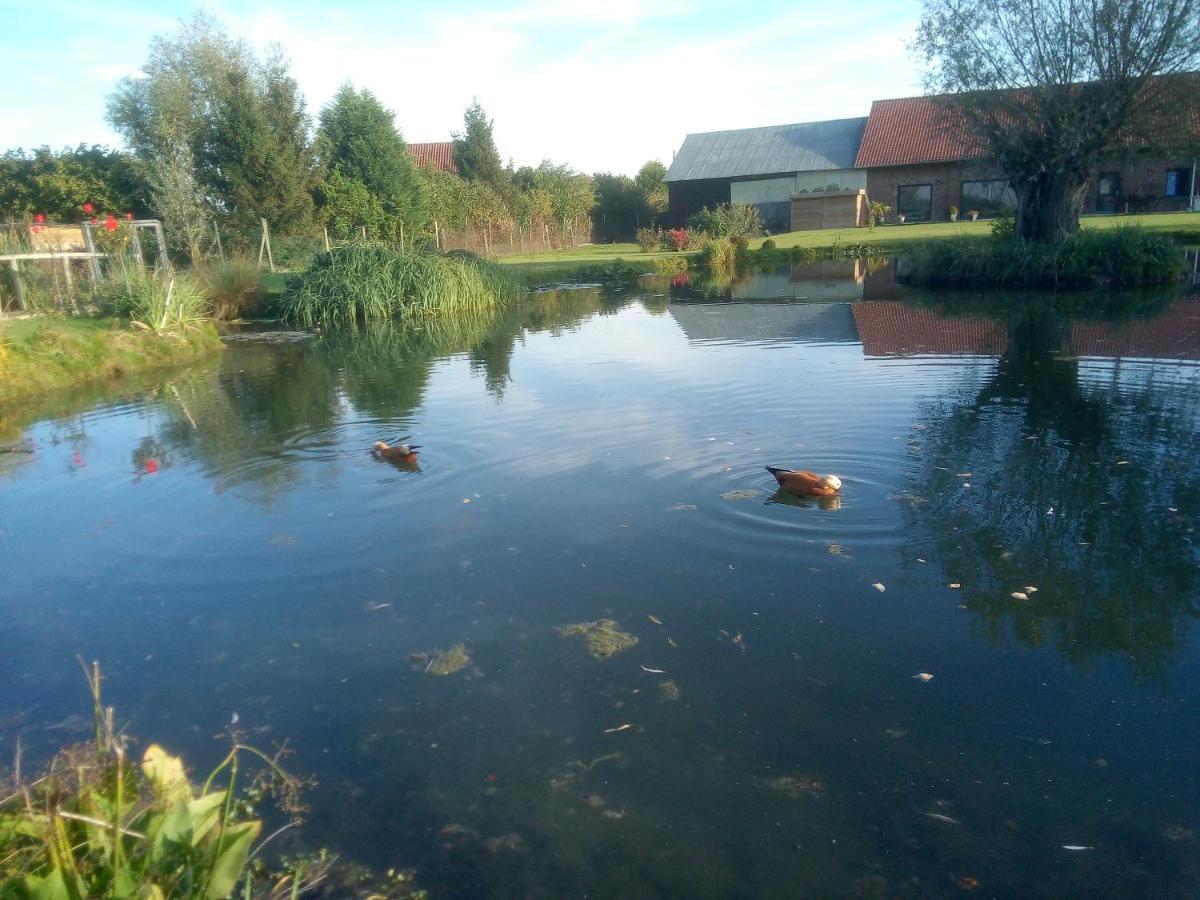 Gite canard Fromelles Extérieur photo